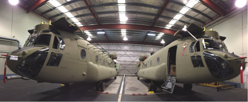 chinooks