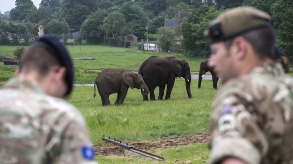 Defence Secretary praises troops undertaking countering poaching operation