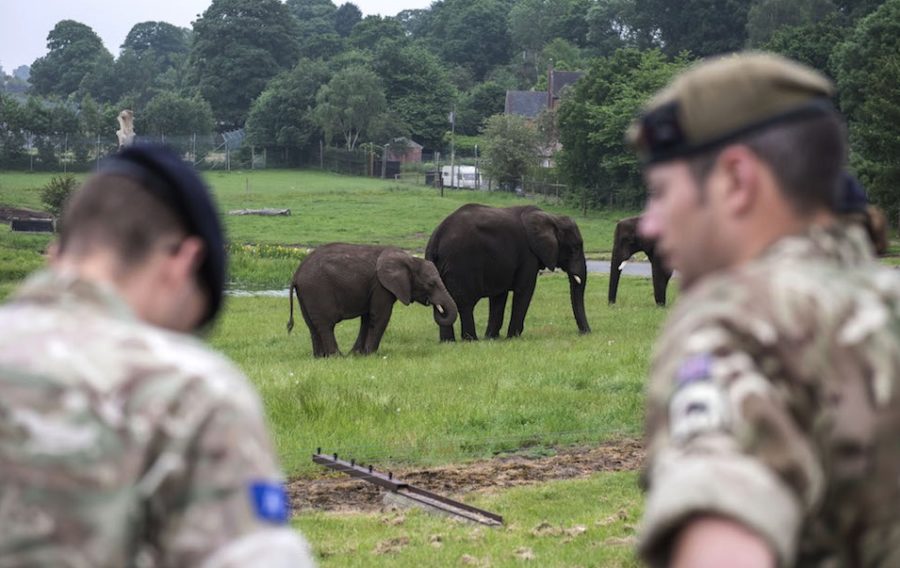 Defence Secretary praises troops undertaking countering poaching operation